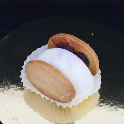 Panna Cotta