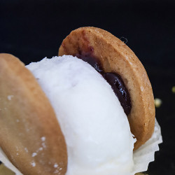 Panna Cotta